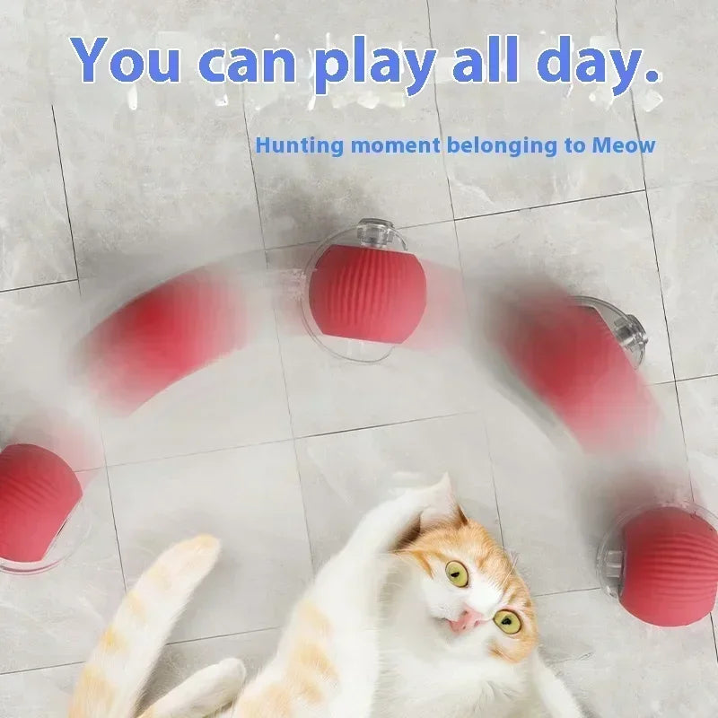 Interactive Cat Ball Toy: Automatic Rolling Ball with Faux Mouse Tail for Training