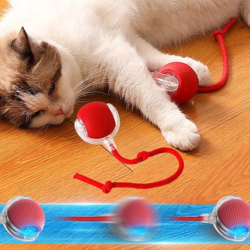 Interactive Cat Ball Toy: Automatic Rolling Ball with Faux Mouse Tail for Training