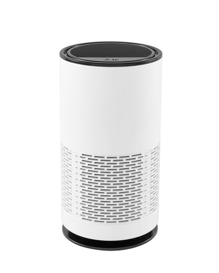 USB Car Air Purifier: Mini Aromatherapy and Formaldehyde Removal Device with Negative Ion Technology