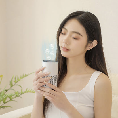 USB Car Air Purifier: Mini Aromatherapy and Formaldehyde Removal Device with Negative Ion Technology