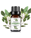 Eucalyptus