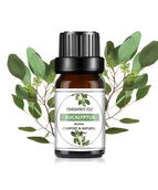 Eucalyptus