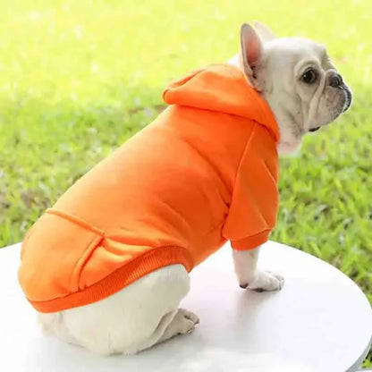 Winter Dog Hoodie: Hooded Sweatshirt for Small and Medium Dogs and Puppies