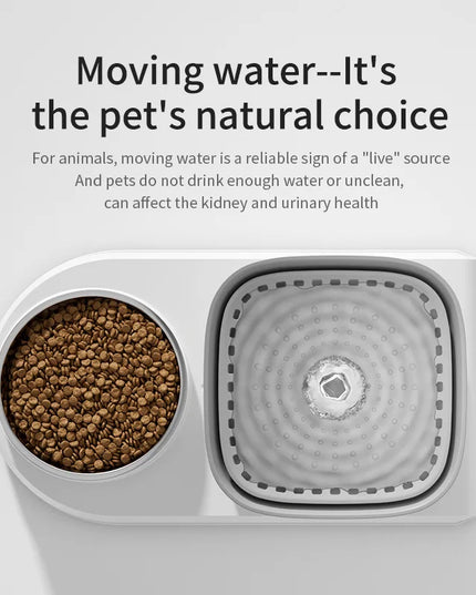 Automatic Cat Water Fountain & Feeding Bowl: 3L Recirculating Water Dispenser for Pets