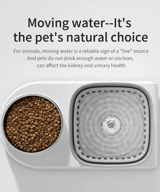 Automatic Cat Water Fountain & Feeding Bowl: 3L Recirculating Water Dispenser for Pets