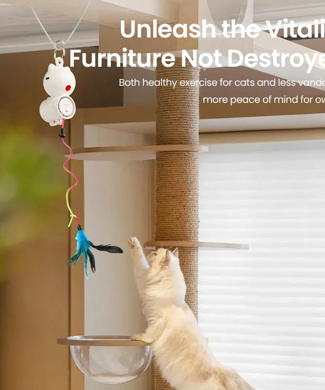 Interactive Cat Laser Toy: 2-in-1 Retractable Fun with Feather for Cats and Dogs