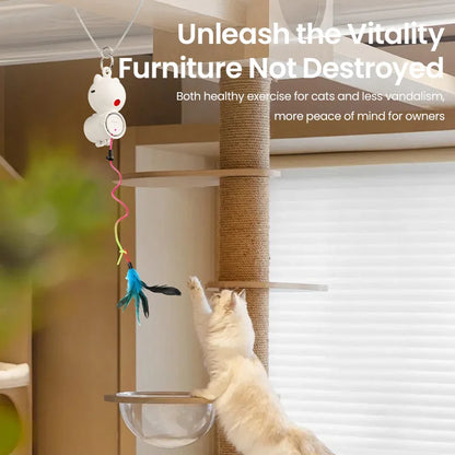 Interactive Cat Laser Toy: 2-in-1 Retractable Fun with Feather for Cats and Dogs