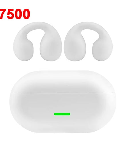 43850046668991