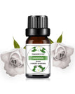 Gardenia
