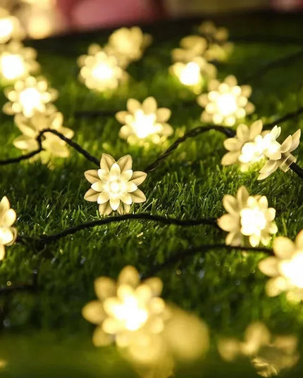 5-12M Crystal Ball Solar String Lights: LED Fairy Lights for Garden and Christmas Decor