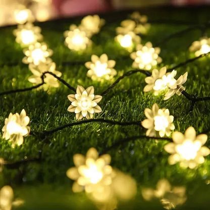 5-12M Crystal Ball Solar String Lights: LED Fairy Lights for Garden and Christmas Decor