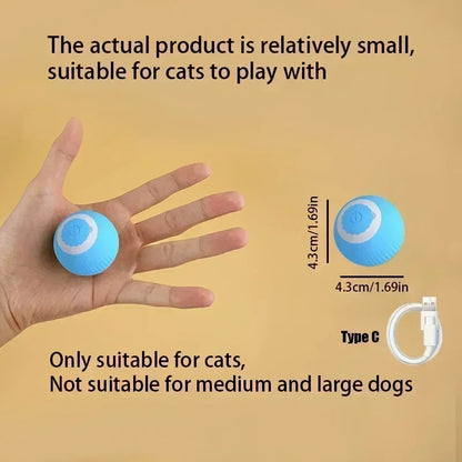 Interactive Cat Ball Toy: Automatic Rolling Ball with Faux Mouse Tail for Training