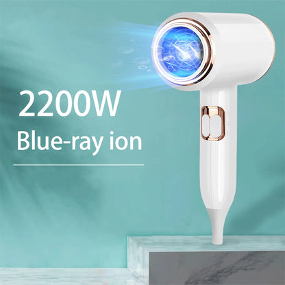 High-Power Hair Dryer: F33 T821 Salon Tool with 2000-2400W, Anion Function, and Unfoldable Handle