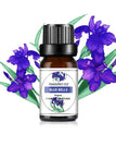 Blue Bells