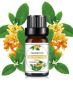Osmanthus