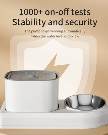 Automatic Cat Water Fountain & Feeding Bowl: 3L Recirculating Water Dispenser for Pets