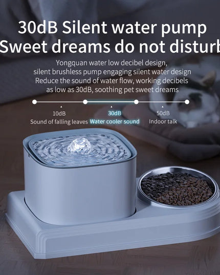 Automatic Cat Water Fountain & Feeding Bowl: 3L Recirculating Water Dispenser for Pets