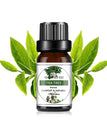 Tea Tree