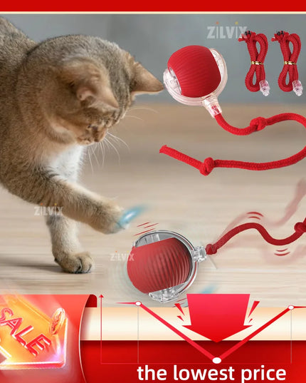 Interactive Cat Ball Toy: Automatic Rolling Ball with Faux Mouse Tail for Training
