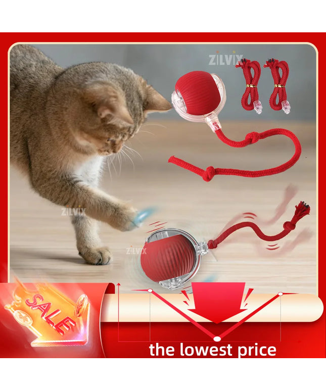 Interactive Cat Ball Toy: Automatic Rolling Ball with Faux Mouse Tail for Training