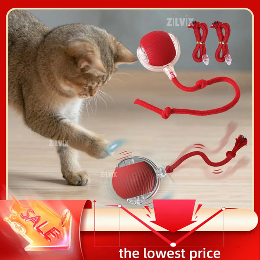 Interactive Cat Ball Toy: Automatic Rolling Ball with Faux Mouse Tail for Training