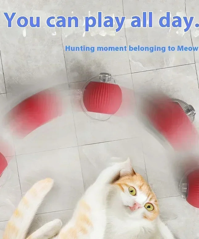 Interactive Cat Ball Toy: Automatic Rolling Ball with Faux Mouse Tail for Training