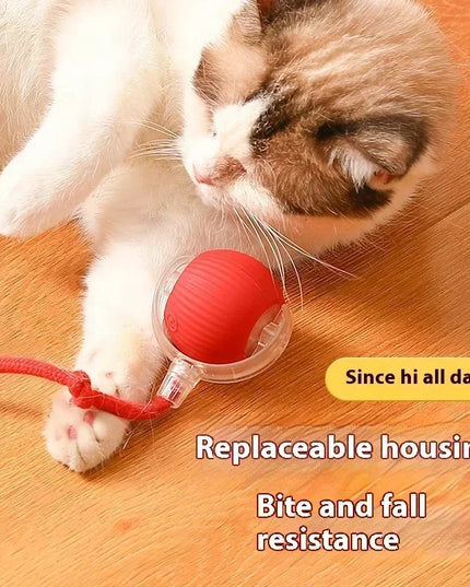 Interactive Cat Ball Toy: Automatic Rolling Ball with Faux Mouse Tail for Training