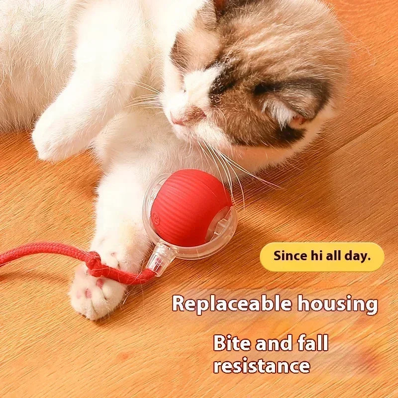 Interactive Cat Ball Toy: Automatic Rolling Ball with Faux Mouse Tail for Training