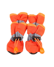 Orange / XXS