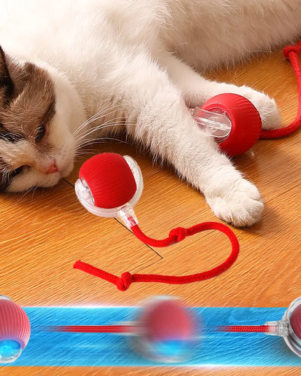 Interactive Cat Ball Toy: Automatic Rolling Ball with Faux Mouse Tail for Training